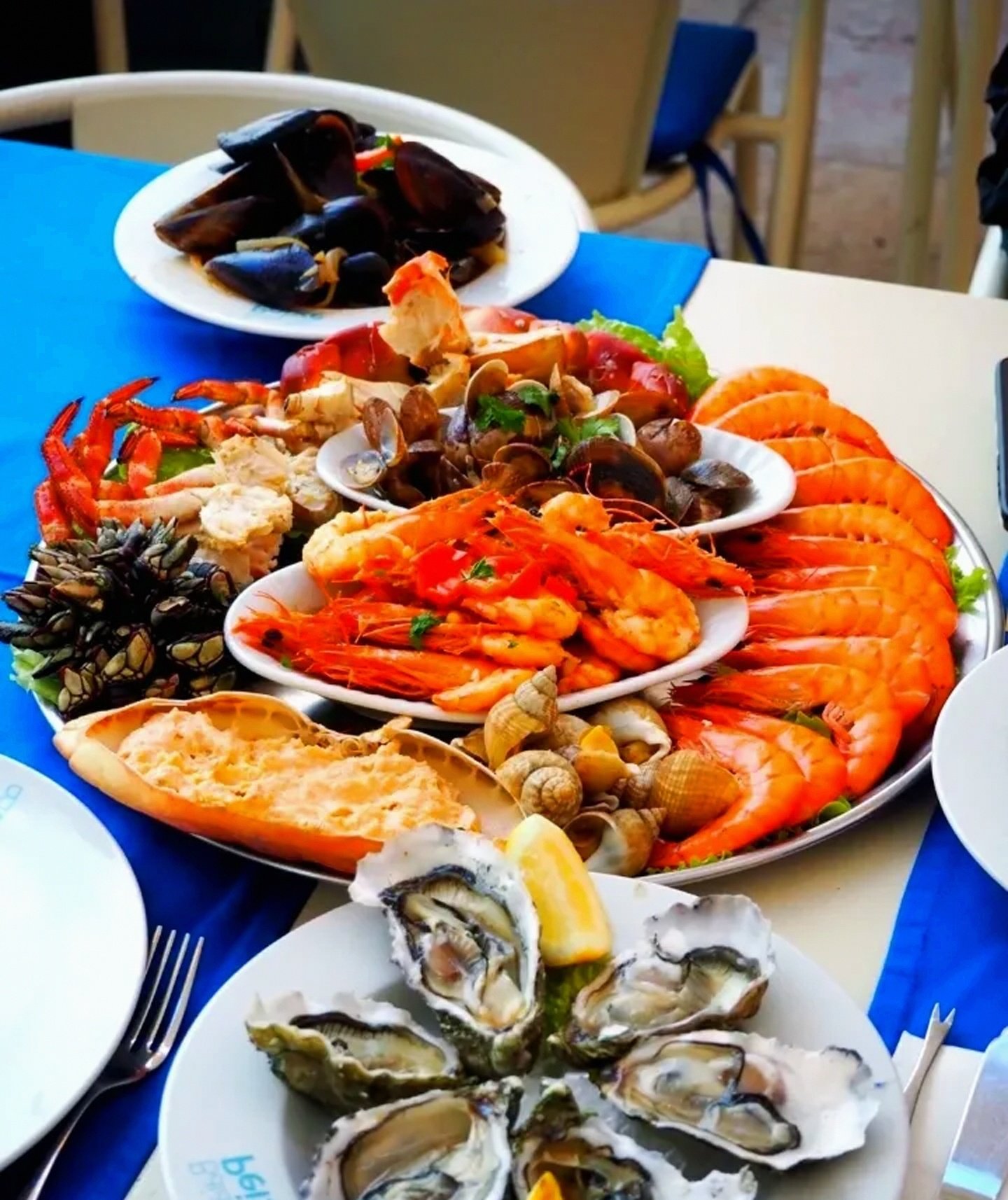 国际比赛日体能课后,葡萄牙体育造点机会备战葡超,压力陡增,控场能力受关注的简单介绍 国际比赛日体能课后,葡萄牙体育造点机会备战葡超,压力陡增,控场能力受关注的简单介绍